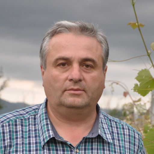 David Maghradze