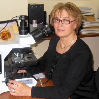 Eliso Kvavadze