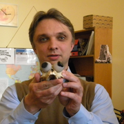 Robert Rutkowski